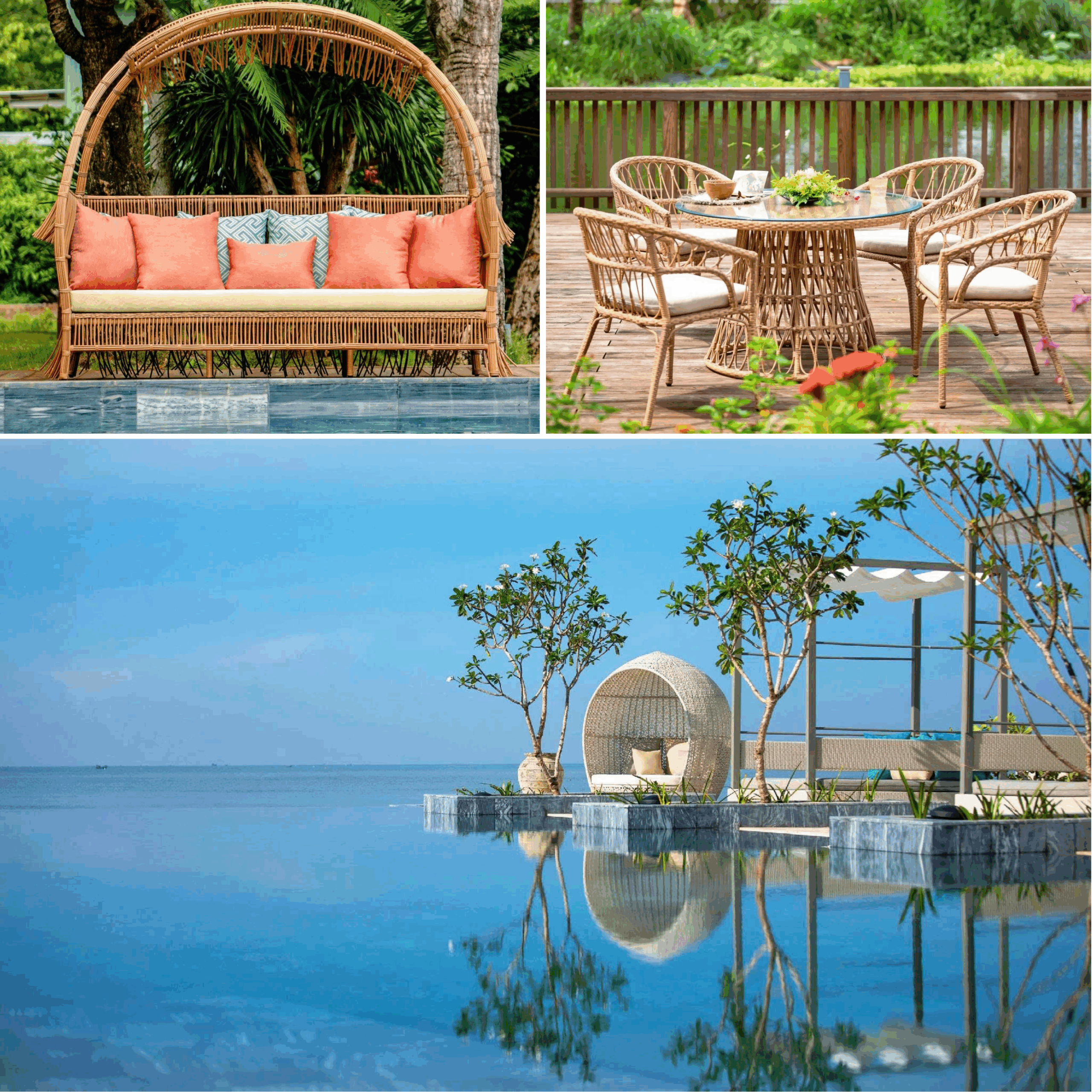 anh 1920x1920 2 scaled