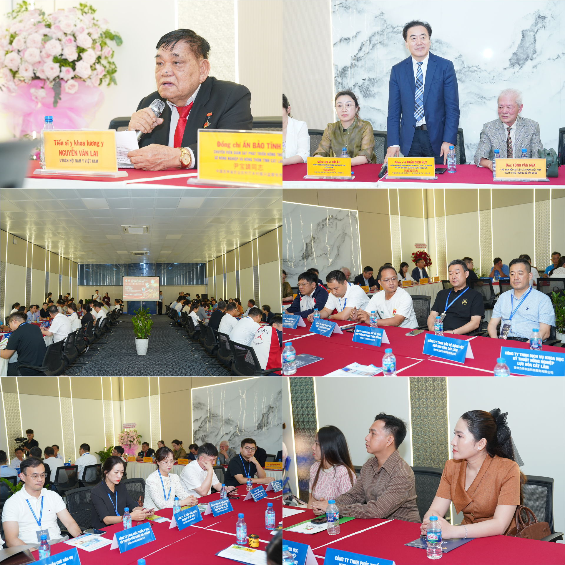 VIIEF HOI THAO 29.5 CHIEU